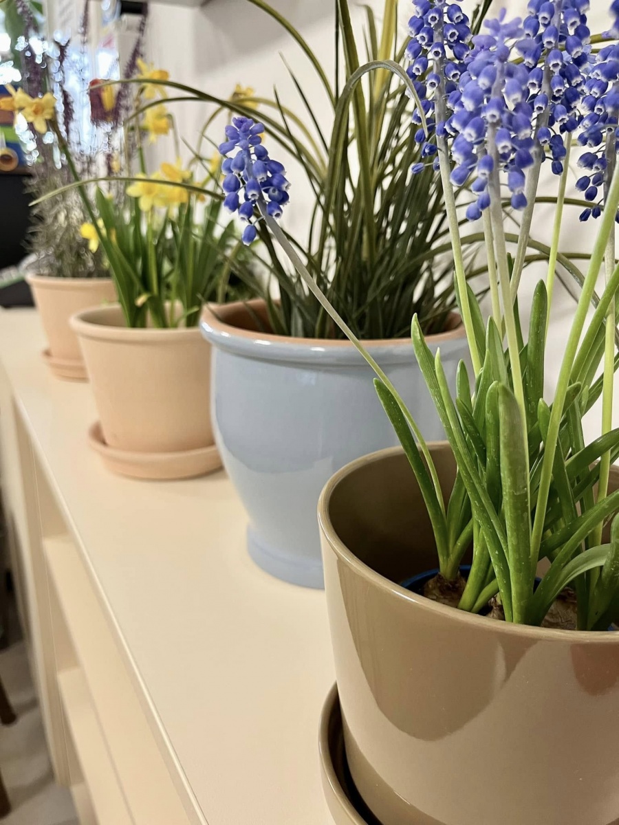 Harmónia Panzió slider